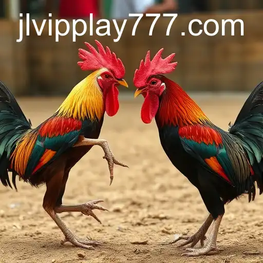 The Allure of Sabong Games and the Role of vipplay777